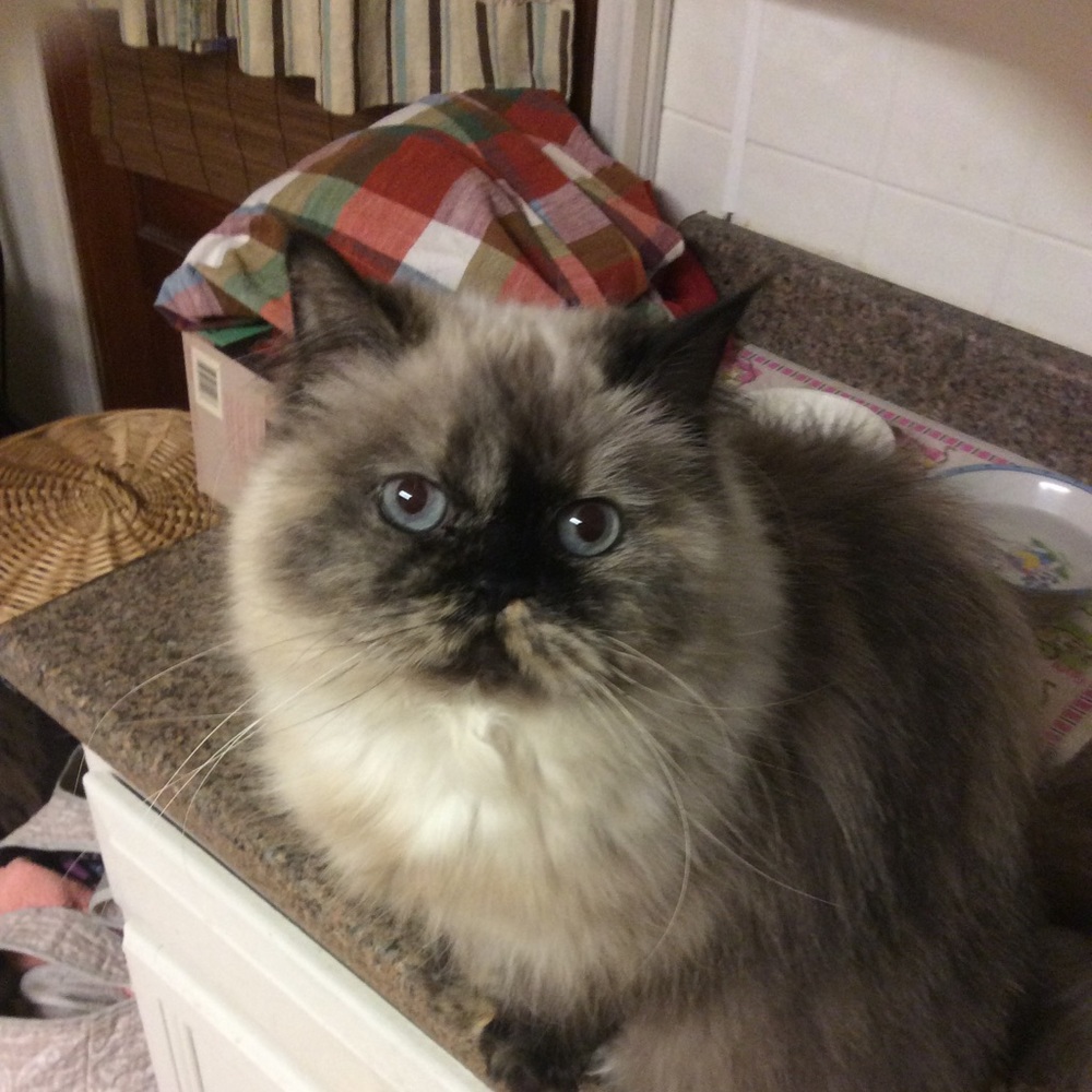 Meet your Posher, Marykay